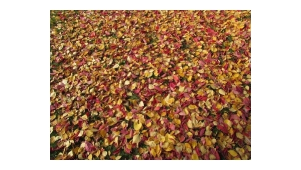 Jihočeský festival zdraví 2022