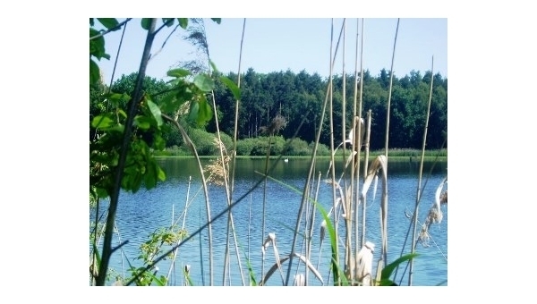 Cyklotrasa Krčínovo dědictví - Třeboň
