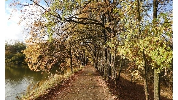 Cyklistická trasa stezkou Emy Destinnové