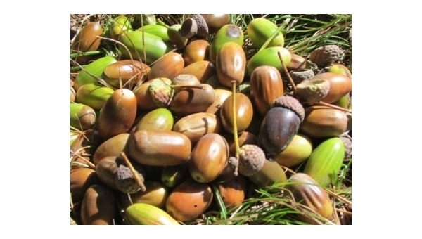 Další tipy na výlet na kole na Třeboňsku