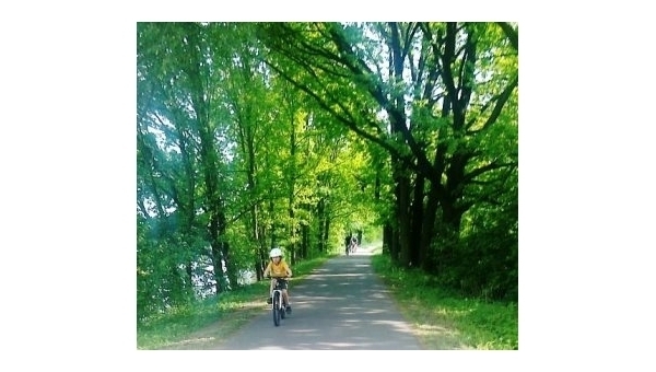 Cyklistická stezka Třeboní