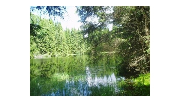 Veteran Muzeum v Jílovicích nedaleko Třeboně