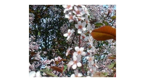 Provaznické muzeum Deštná