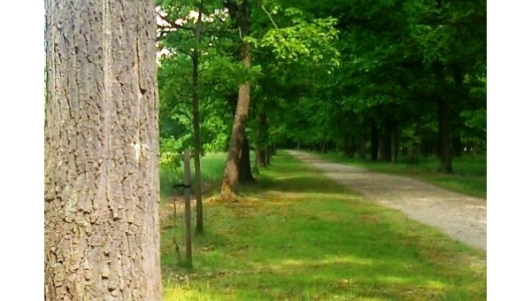 Třeboňské cyklostezky
