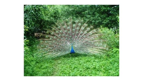 Hornické muzeum Rudolfov