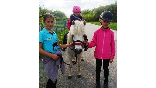 Muzeum koněspřežky