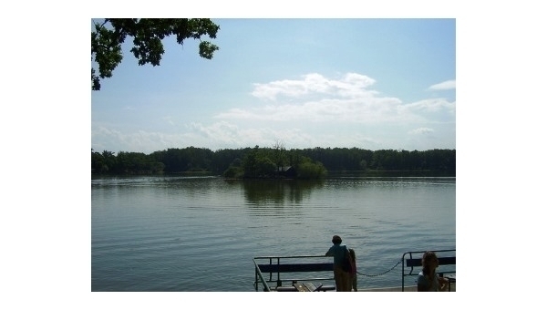 Dračí lodě - závody v Třeboni 2025