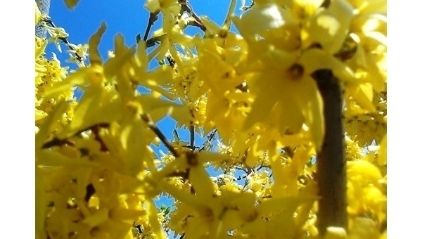 Duben v Třeboni 2025