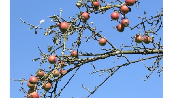 Týden pro Hospic 2022