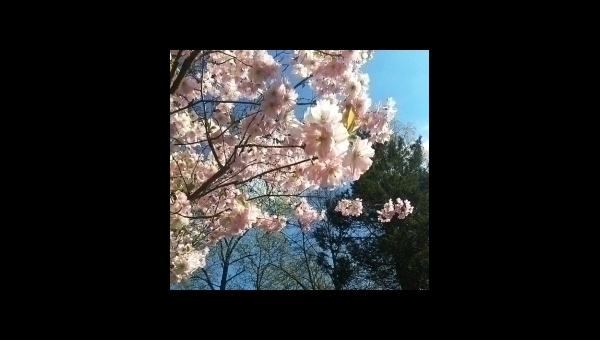 Jarní prázdniny 2022 v Třeboni