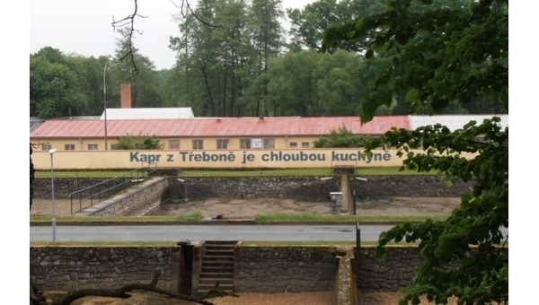 Říjen 2025 v Třeboni a na Třeboňsku