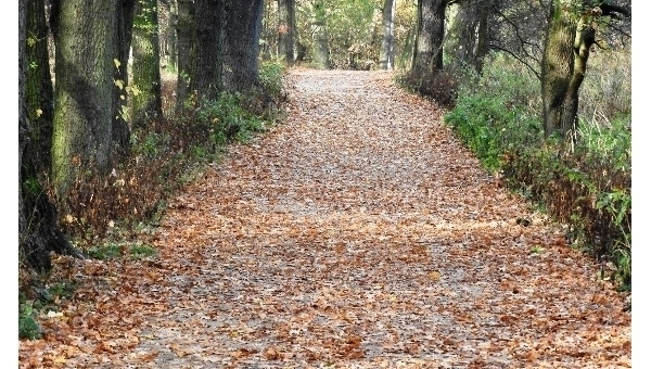 Nordic Walking Tour 2024 v Třeboni
