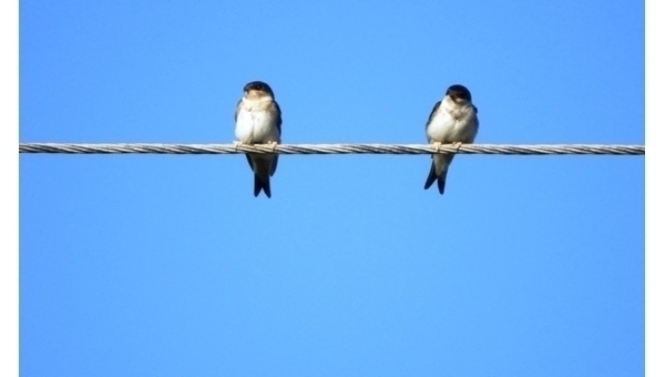 Krčínův labyrint - cykloturistická akce 2025